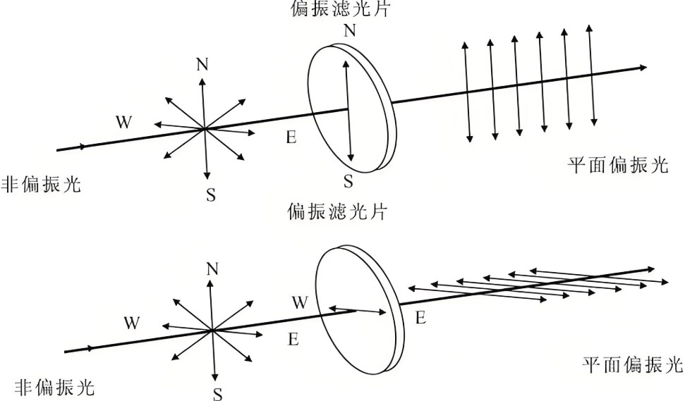 光的魔術師：偏光鏡如何塑造人類的光學世界