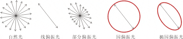 什么是偏振光？偏振光是如何完成檢測的？