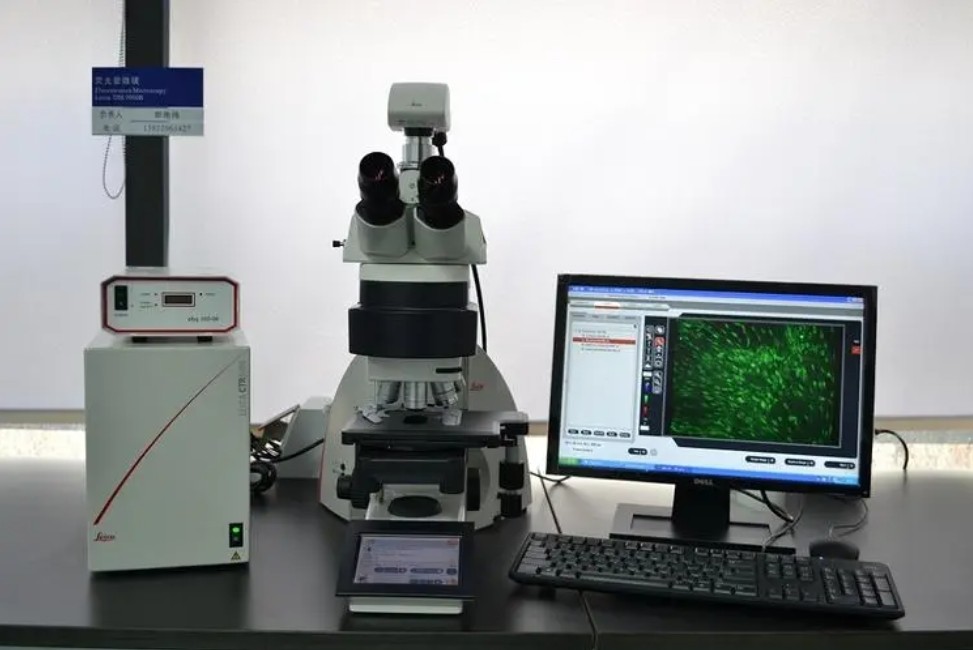 濾光片是如何決定顯微鏡成像性能的？