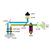 什么是熒光定量PCR、數(shù)字PCR？
