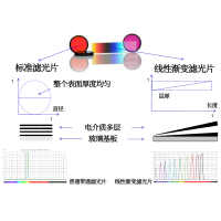 線性漸變?yōu)V光片是什么？有何特點(diǎn)？