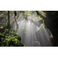 光的干涉、衍射、折射、反射、散射